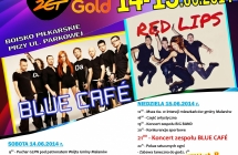 Dni Malanowa PLAKAT 2014